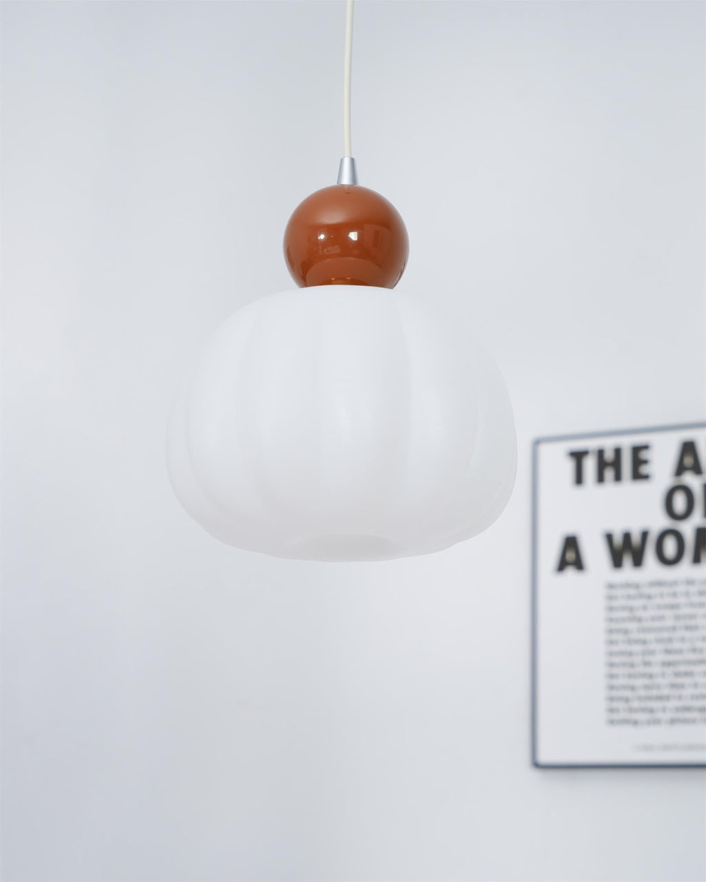 Acrylic Pendant Lamp – Organic Round Hanging Light