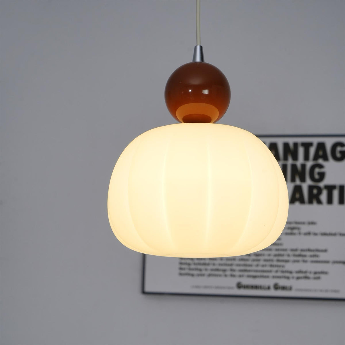 Acrylic Pendant Lamp – Organic Round Hanging Light