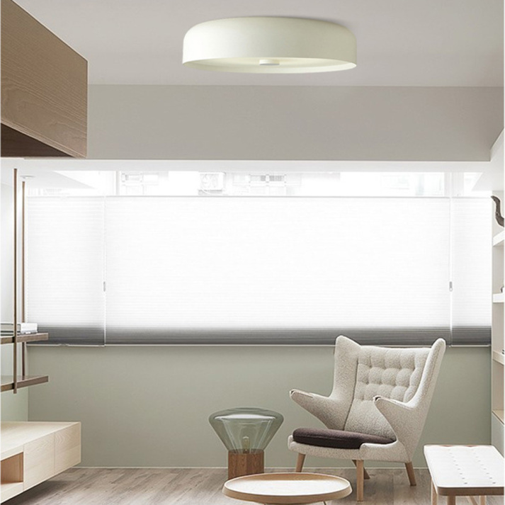 Retro Ceiling Light – Minimalist LED Flush Mount